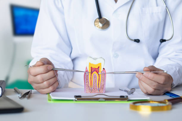 Best Emergency Gum Treatment in Ashton, ID